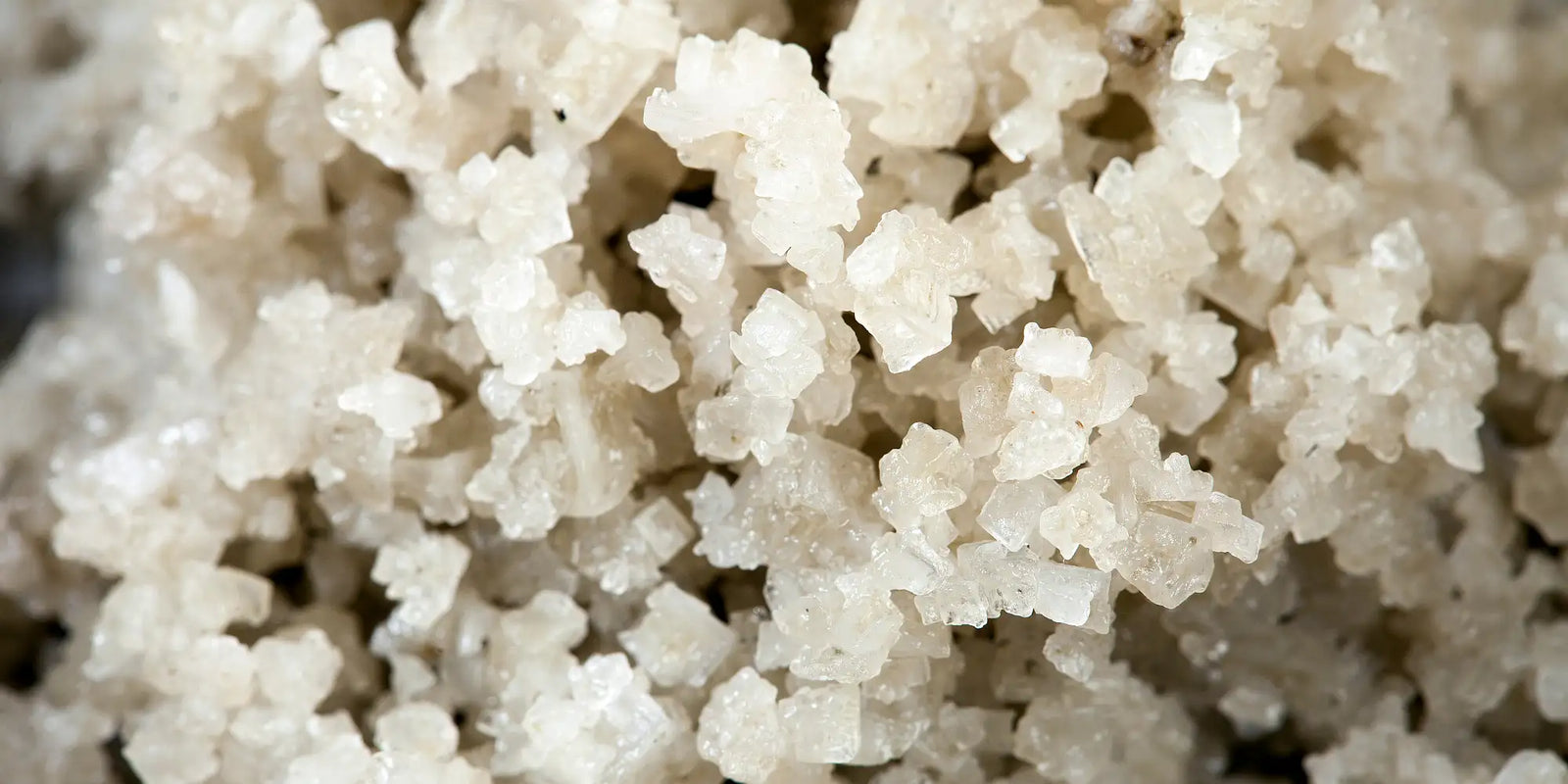 Bretonisches Meersalz aus den Salzgärten der Bretagne mit groben naturbelassenen Salzkristallen