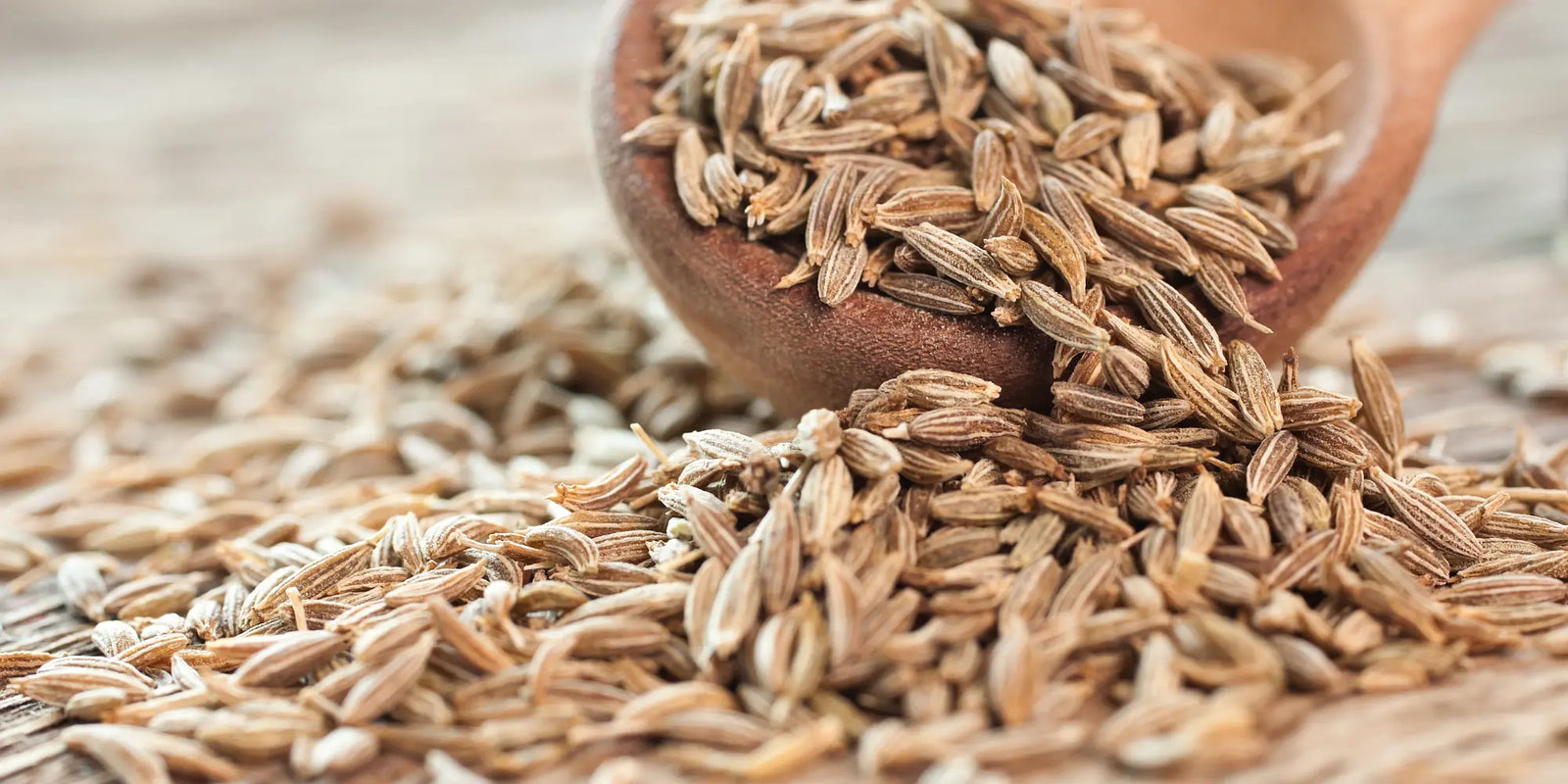 Kreuzkuemmel vs Kümmel – Unterschiede in Geschmack, Verwendung und Aroma
