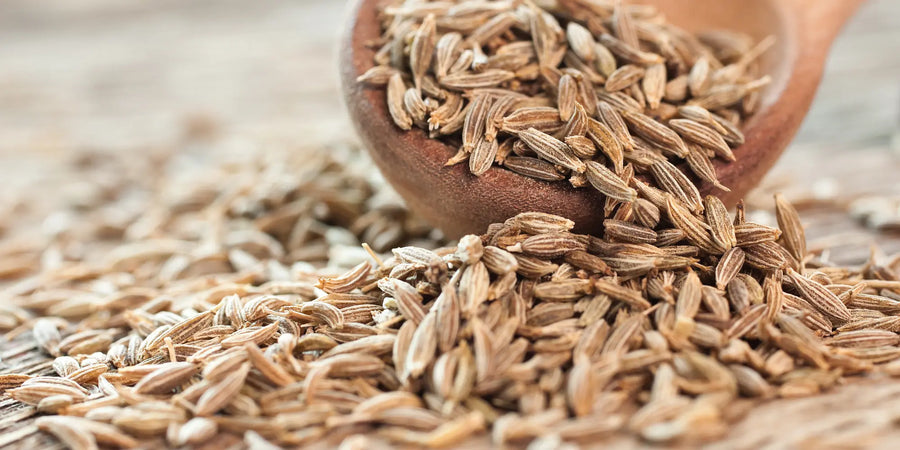 Kreuzkuemmel vs Kümmel – Unterschiede in Geschmack, Verwendung und Aroma