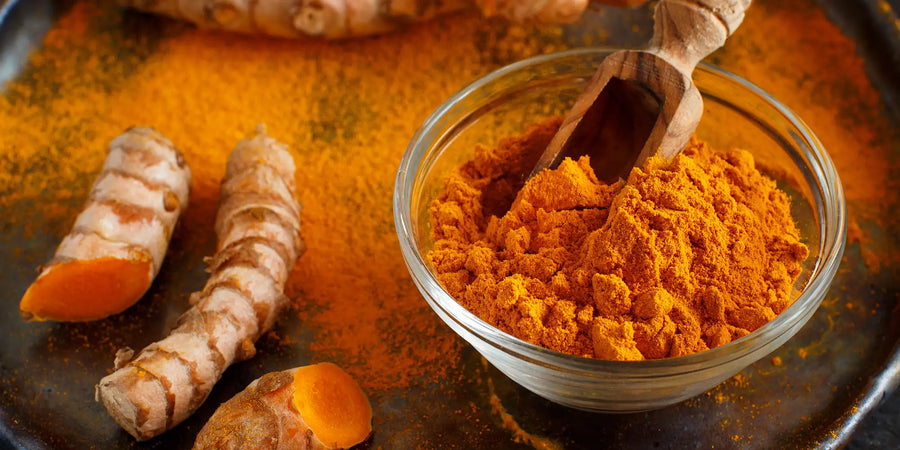 Kurkuma – intensives Gewuerz mit warm-wuerziger Note fuer Curry und asiatische Gerichte