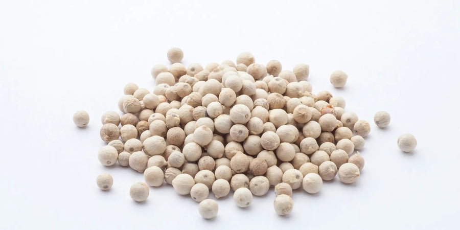 Weisser Pfeffer – intensiver Pfeffer fuer helle Saucen, Kartoffelgerichte und feine Kueche