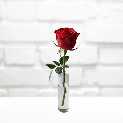 Reagenzglas mit Rose