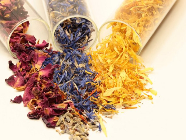 blog-getrocknete-blueten-640x480